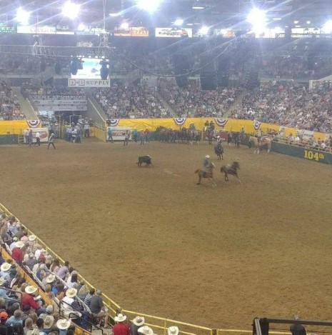 ten professional rodeos